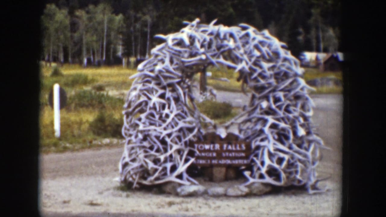 1939 Wyoming frame of the Tower Falls Ranger Station antler gateway, with trees and small structures in the background.