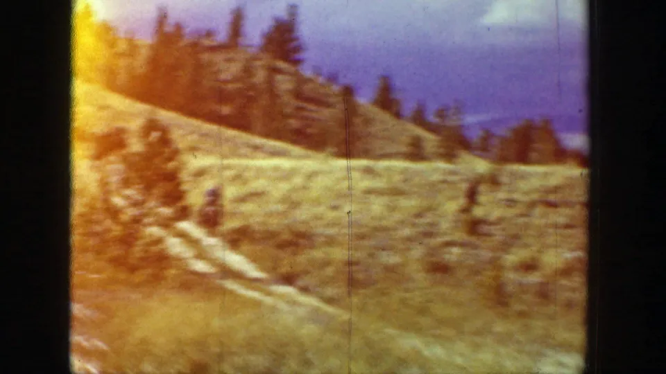 A sunlit rural Wyoming hillside shows grass, scattered trees, winding paths, and strong color flare from the 8mm film.