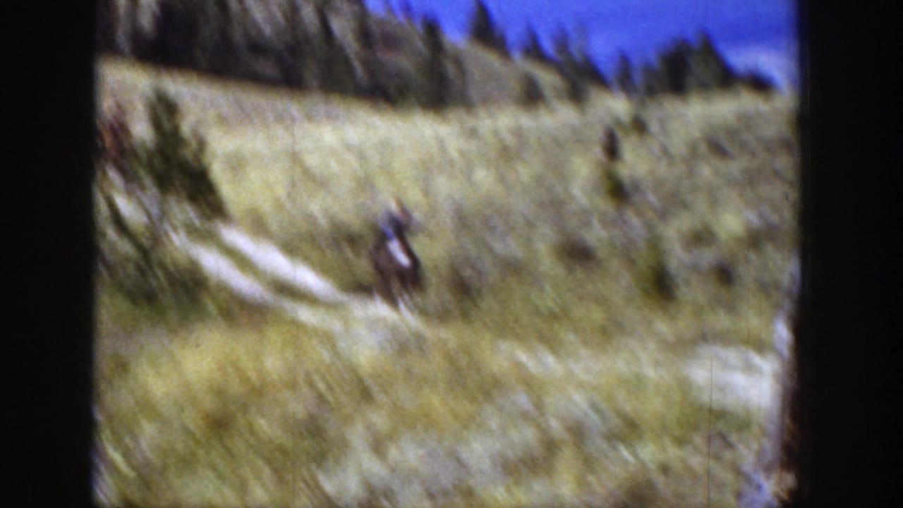 Distant rider on horseback follows a pale trail across a grassy hillside.