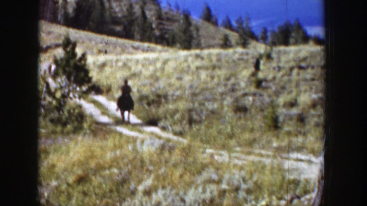 A rider on a dark horse follows a winding hillside path in the Wyoming landscape, with trees and dry grass behind.