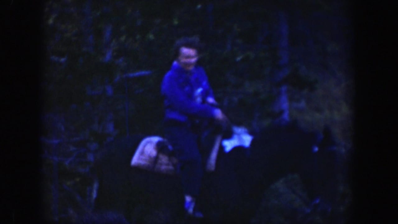 A rider in a blue jacket appears on horseback in a dark forested section of the Wyoming riding scene.