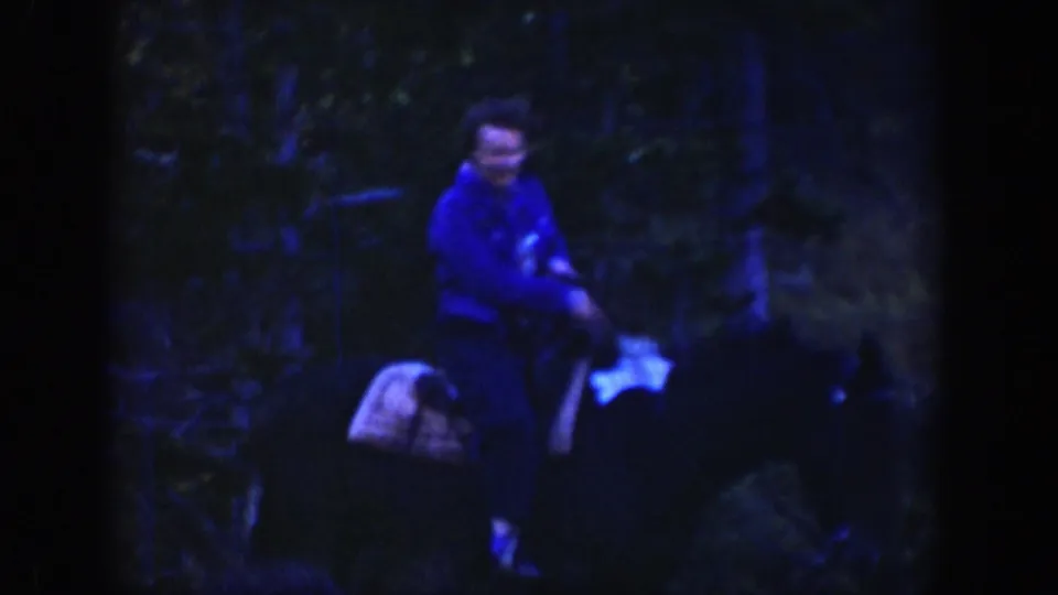 A rider in a blue jacket appears on horseback in a dark forested section of the Wyoming riding scene.