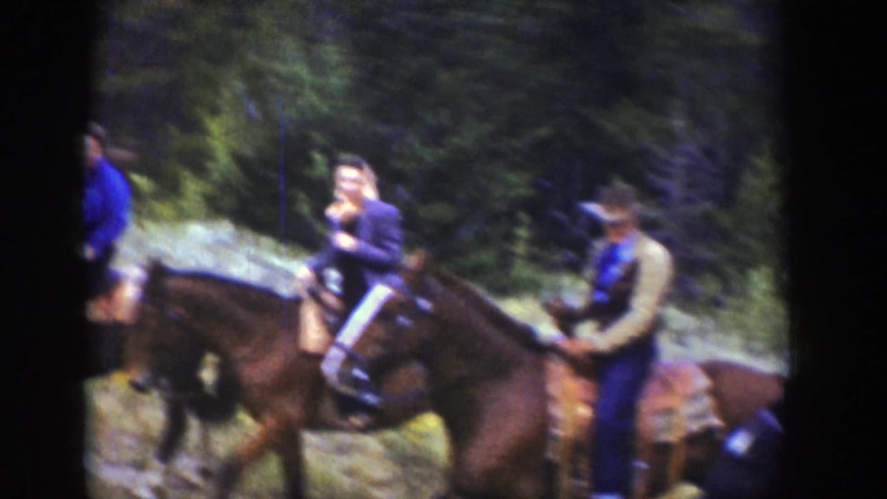 Several riders on horses move along a wooded trail with trees and rocky ground behind them.