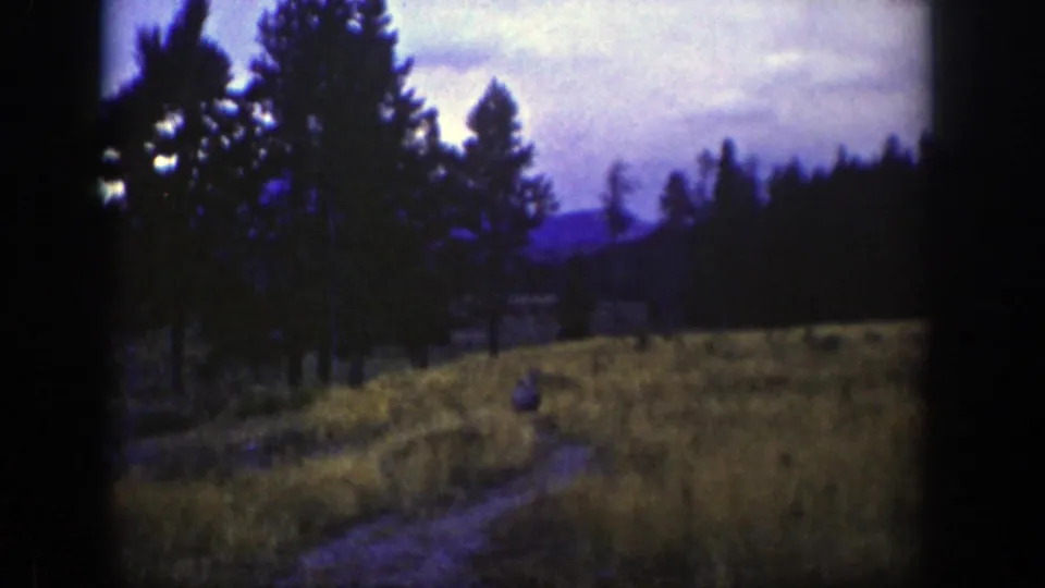 1939 Wyoming 8mm frame showing a dim tree-lined field, distant hills, and a narrow path in late light.