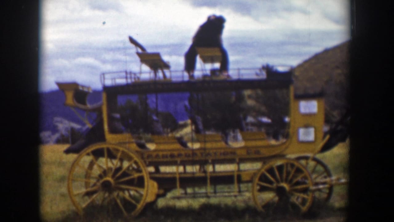 1939 Wyoming home-movie frame showing a yellow stagecoach display in grass with a large bear figure mounted on the roof.