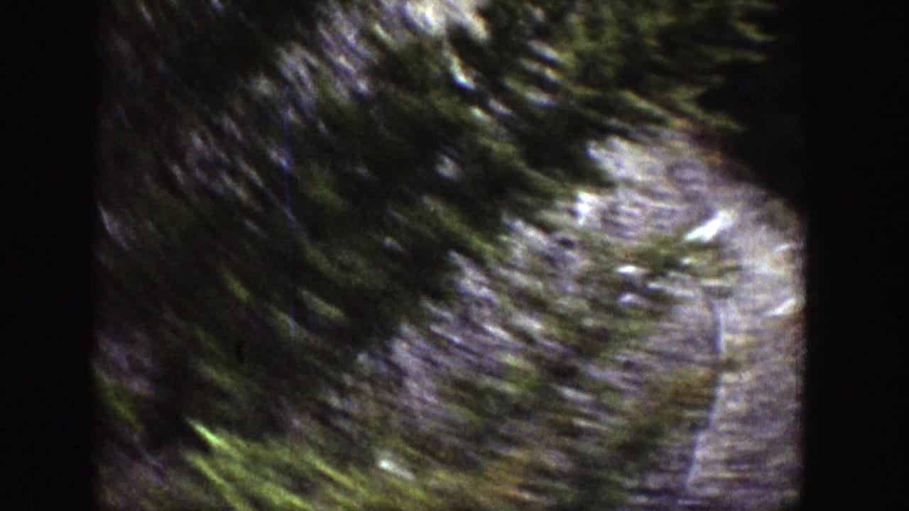 1939 Wyoming home-movie frame with trees, rocks, and a blurred view of rushing water or riverbank vegetation.