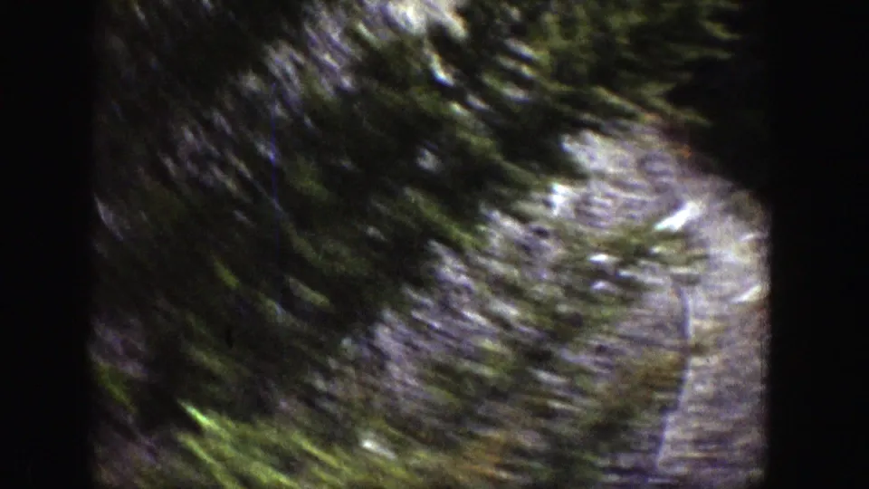1939 Wyoming home-movie frame with trees, rocks, and a blurred view of rushing water or riverbank vegetation.