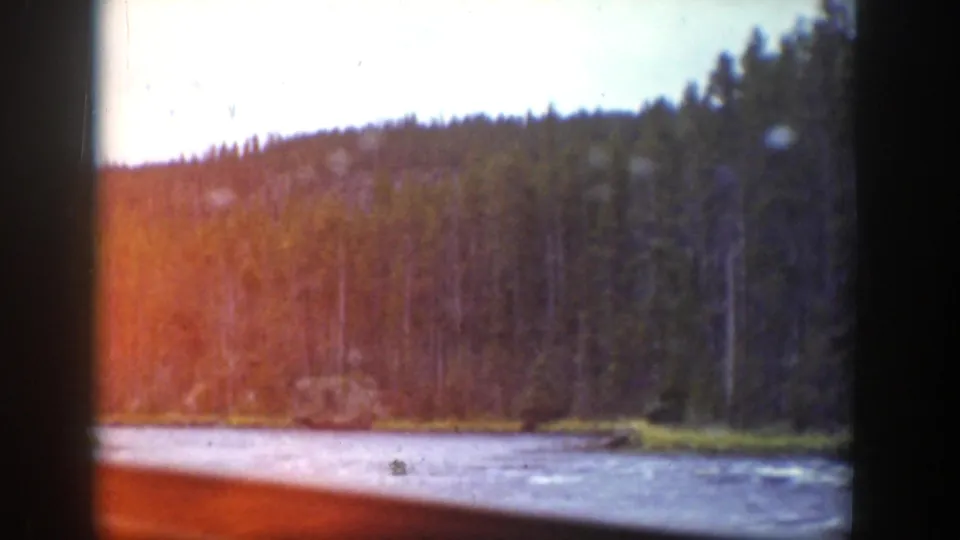 1939 Wyoming travel shot through a vehicle window, showing water and a dense forested slope.