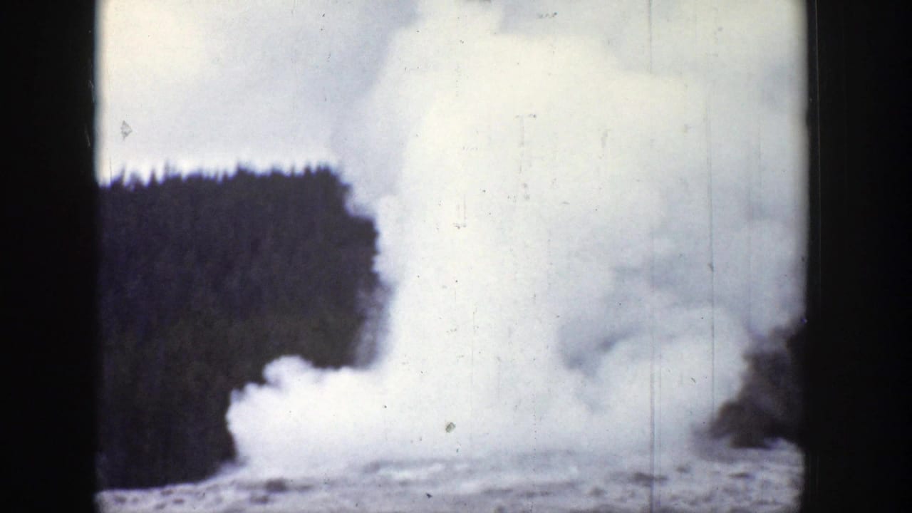 A tall white geyser plume rises beside a dark forest line.