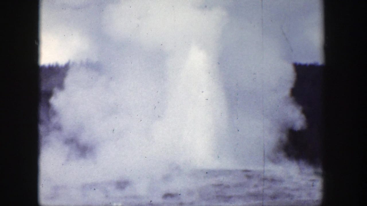 Geyser plume rising behind rough ground and dark tree shapes.