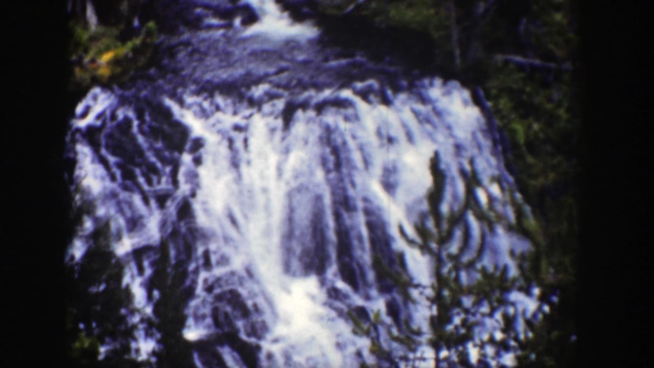 Waterfall cascading over dark rocks with forest vegetation around it.