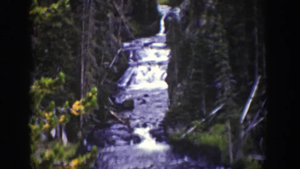 1939 Wyoming 8mm frame showing a stepped forest cascade partially framed by trees and foreground brush.