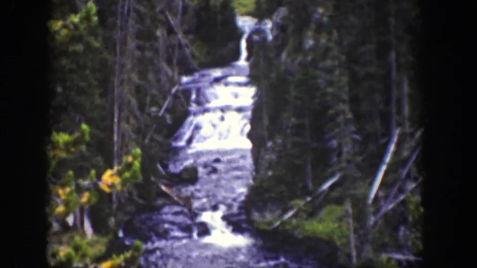 1939 Wyoming 8mm frame of whitewater flowing through a rocky forest channel between tall dark trunks.