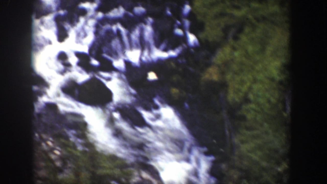 Water rushes over dark rocks with forest greenery at the edge of the frame.