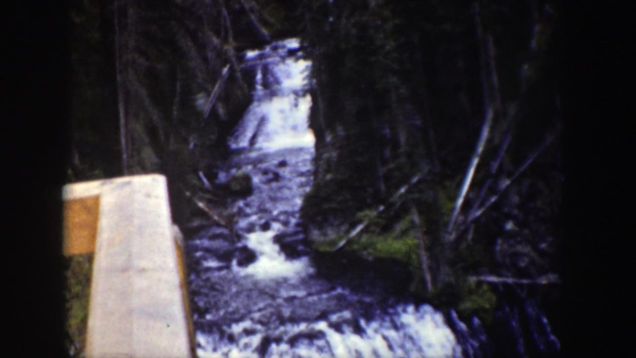 Wooded ravine with rushing water and a pale wooden railing at the frame edge.
