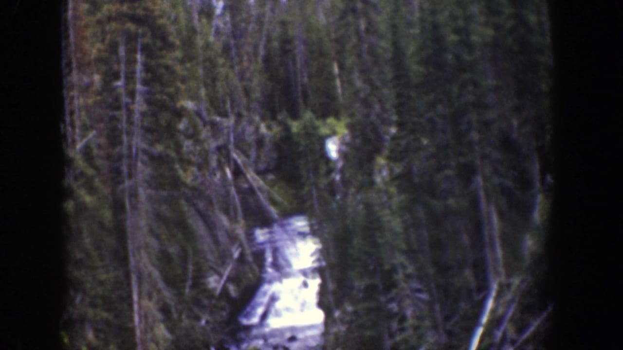 Distant rushing water runs through a narrow forested ravine.