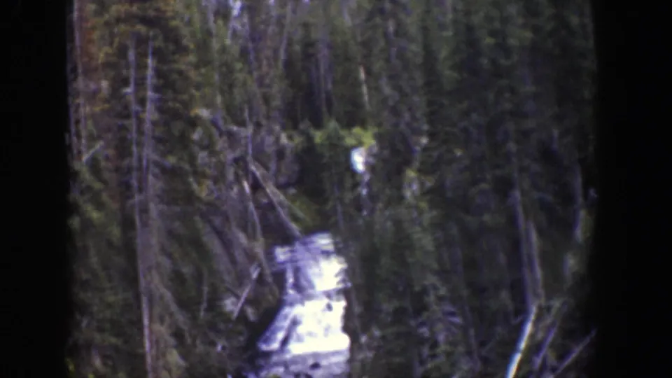 1939 Wyoming 8mm frame with distant white water cutting through a wooded ravine lined by tall trees and dark branches.