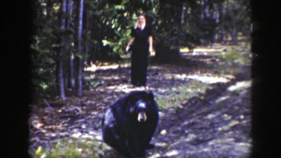 A black bear fills the lower foreground as a blonde woman stands on the wooded path in this 1939 Wyoming frame.