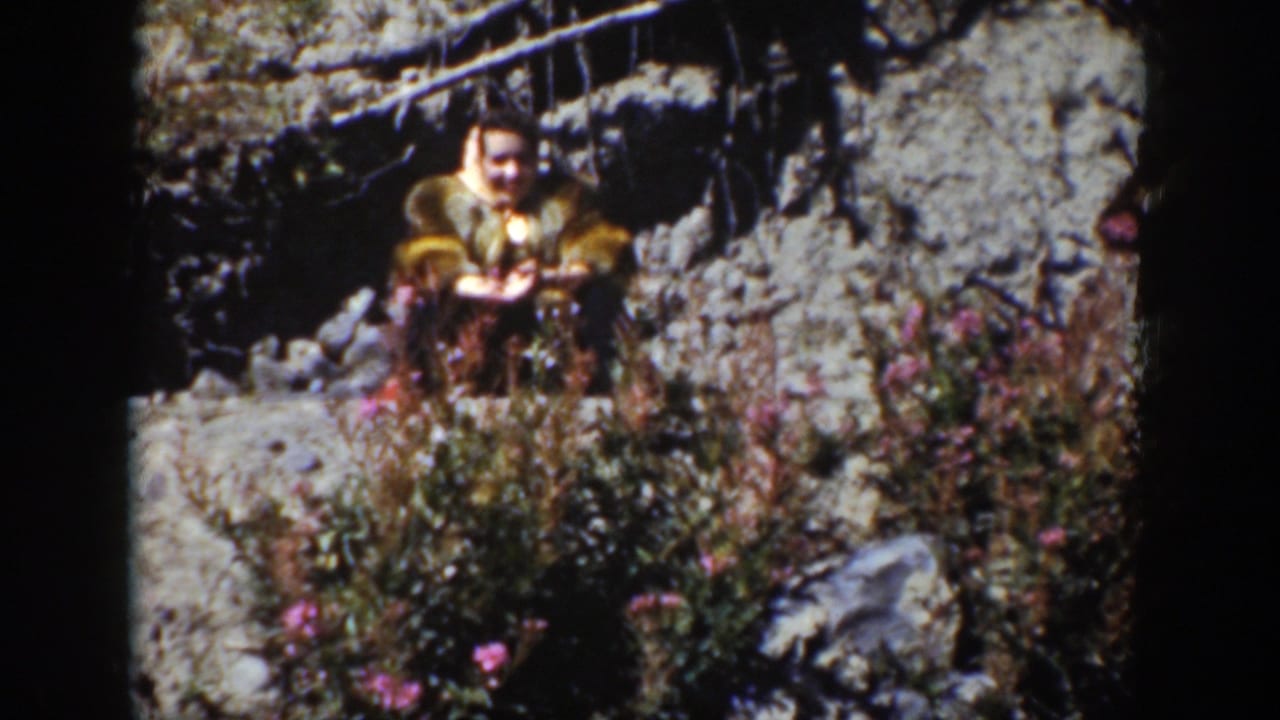 Woman in a fur-trimmed coat sitting on rocks among wildflowers.