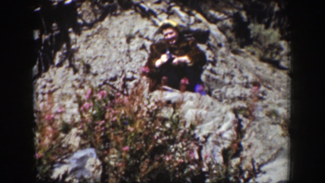 A woman in a fur-trimmed coat appears seated on rocks in Wyoming, surrounded by brush and wildflowers.