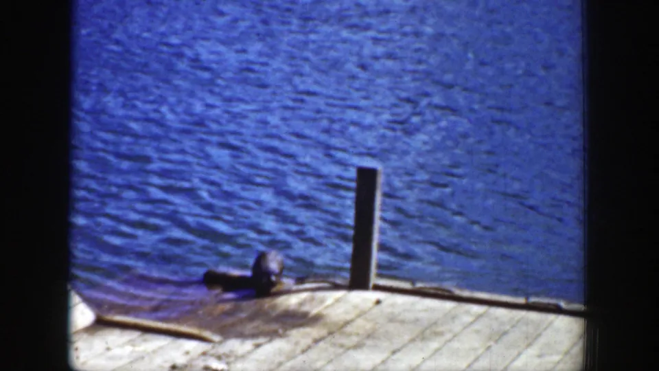 1939 Wyoming 8mm frame showing a dark sea lion lying near a vertical dock post beside bright blue water.