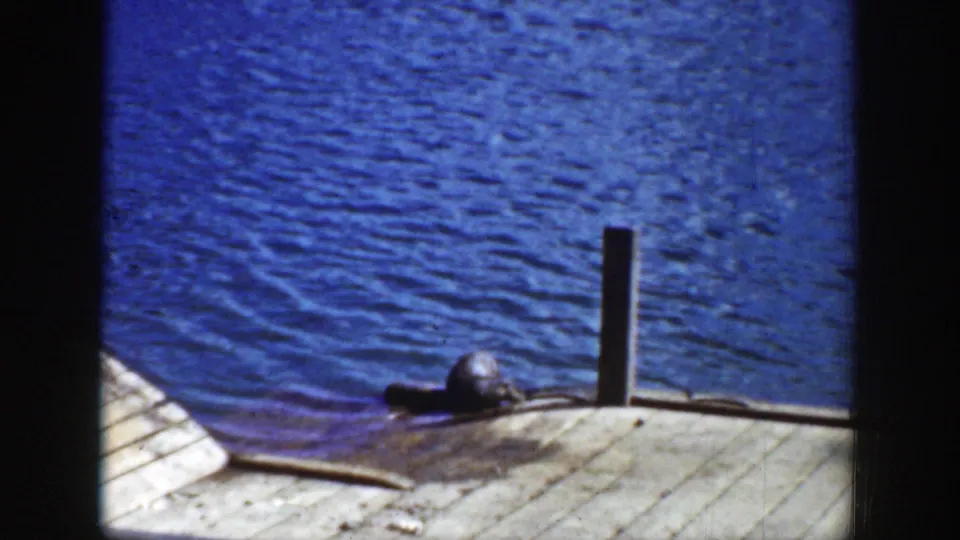 1939 Wyoming frame showing the sea lion still resting beside the post, with rippled blue water behind the dock.