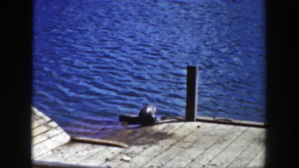A raccoon moves along a sunlit wooden dock beside rippling blue water in 1939 Wyoming home-movie footage.