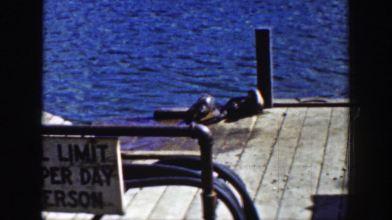 Raccoon crossing a dock near posts, pipe, hose, and a cropped sign.