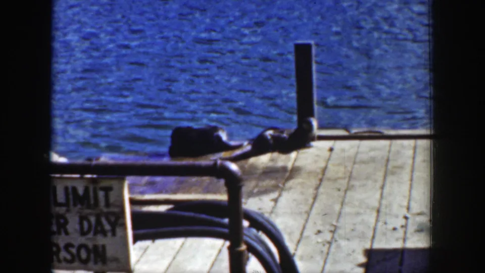 A dark raccoon pauses or moves near a vertical dock post, with rippling blue lake water and sunlit planks visible.
