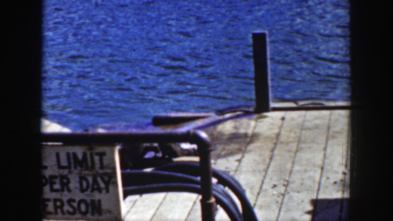 1939 Wyoming 8mm frame showing wet sea lions on a pale wooden dock by blue water, with part of a posted limit sign at left.