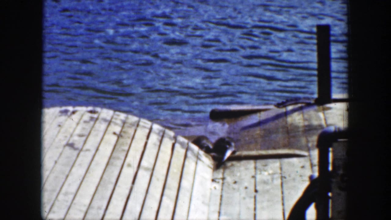 Otter near a wooden dock edge beside blue lake water and a small boat.