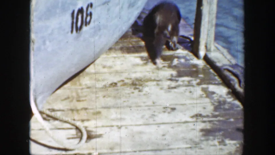1939 Wyoming frame showing an otter on a dock next to a boat marked 106, with rope and water nearby.