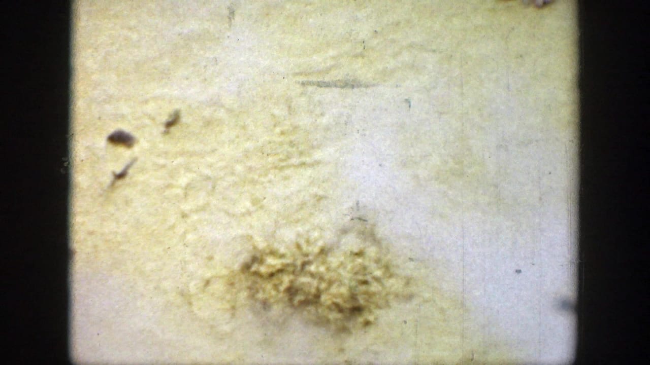 Yellowed 8mm film surface with dark borders, stains, scratches, and mold-like growth.