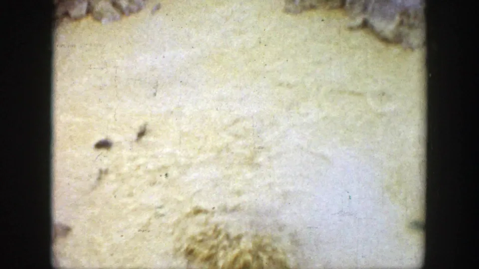 Close-up of worn 8mm film stock attributed to Wyoming, 1939, with dark borders, yellowing, stains, scratches, and scattered surface debris.