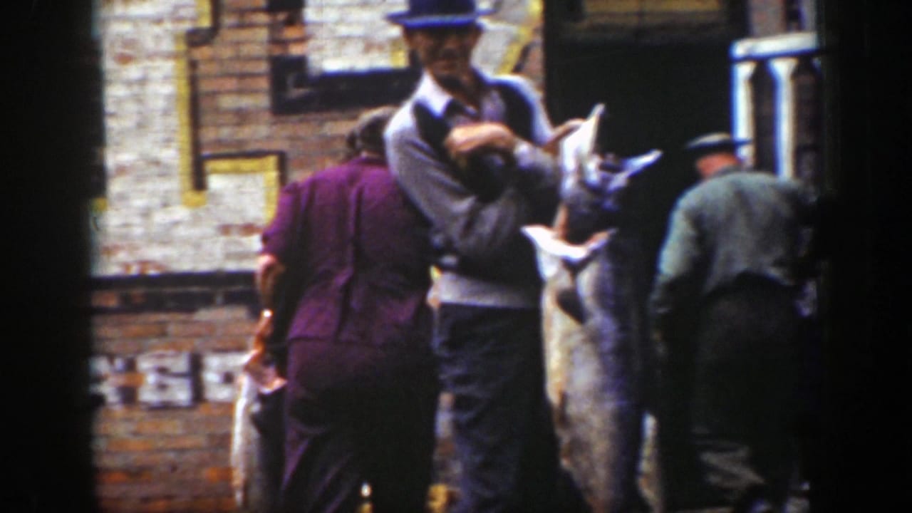 A man in a hat holds a large fish while others stand nearby.