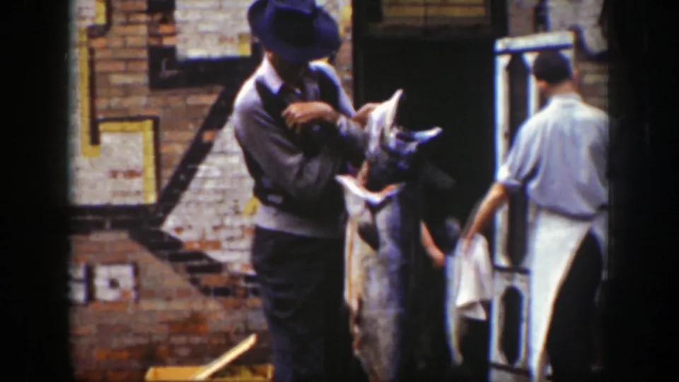The 1939 Wyoming footage shows a man holding a large fish near a brick wall as another adult passes through the frame.