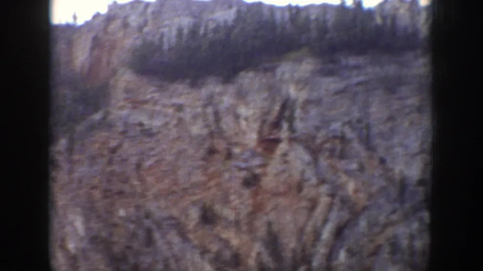 The frame shifts to the textured cliff face and treeline, with the visitor and car no longer visible.