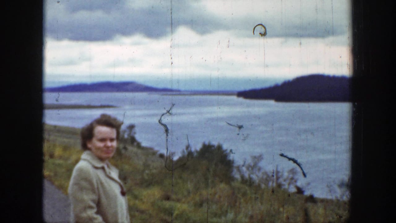Woman in a tan coat stands by the water overlook with cloudy sky and distant shoreline.