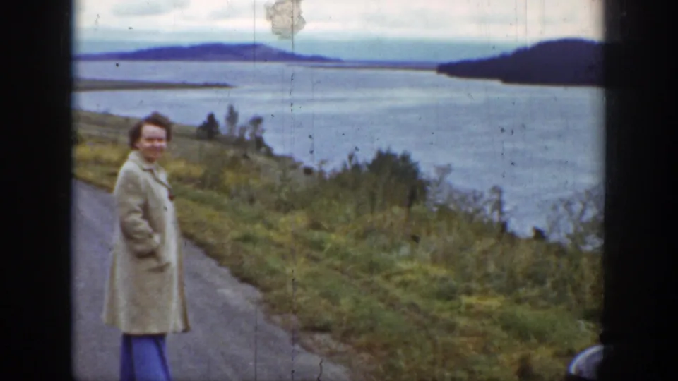 The woman stands in profile near the roadside, with grassy foreground, open water, distant landforms, and cloudy sky behind her.