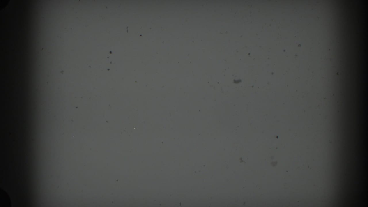 Dim gray 8mm frame with dust specks, dark edges, and no distinct subject visible.