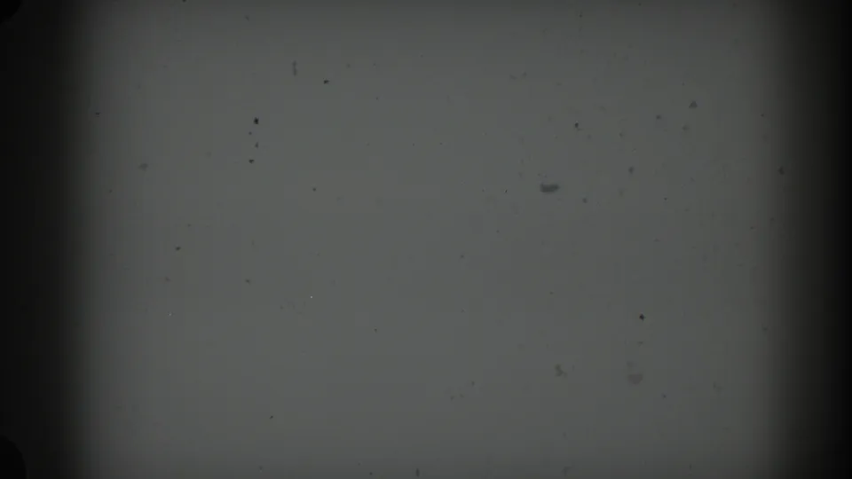 1960 Miami 8mm frame showing a subdued gray film field with dust, grain, and heavy edge vignette from the scan.
