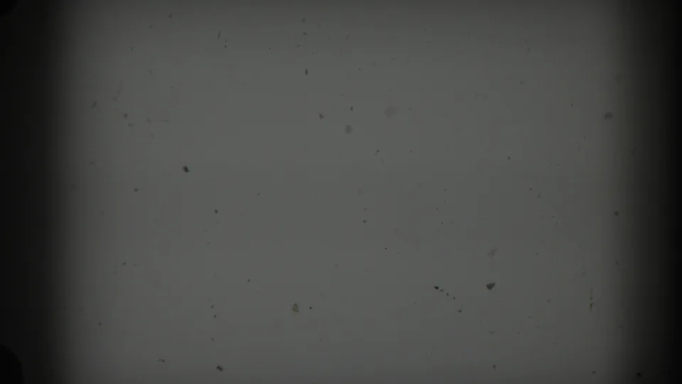 1960 Miami 8mm frame showing a largely empty gray field with visible dust, grain, darkened edges, and film-frame shadowing.