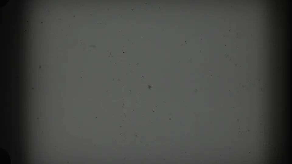 1960 Miami 8mm frame with a muted gray field, scattered dust, grain, dark edge falloff, and no identifiable people or objects.