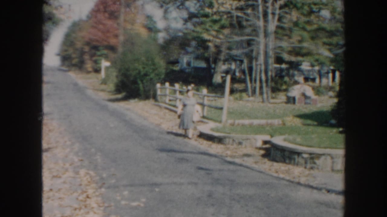 Woman stands or walks near a fence along a sunlit residential road.