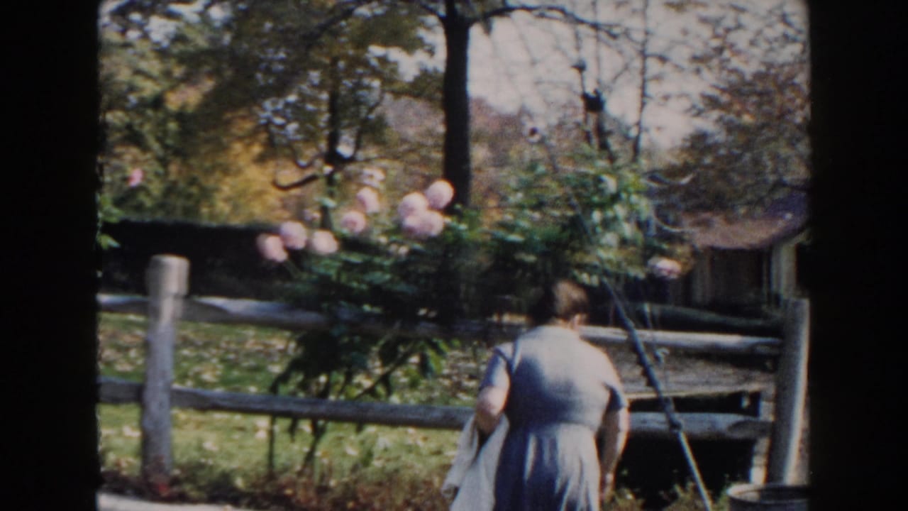 In 1960 Miami home-movie footage, a woman in a blue dress moves near pink roses, a wooden fence, grass, and trees.