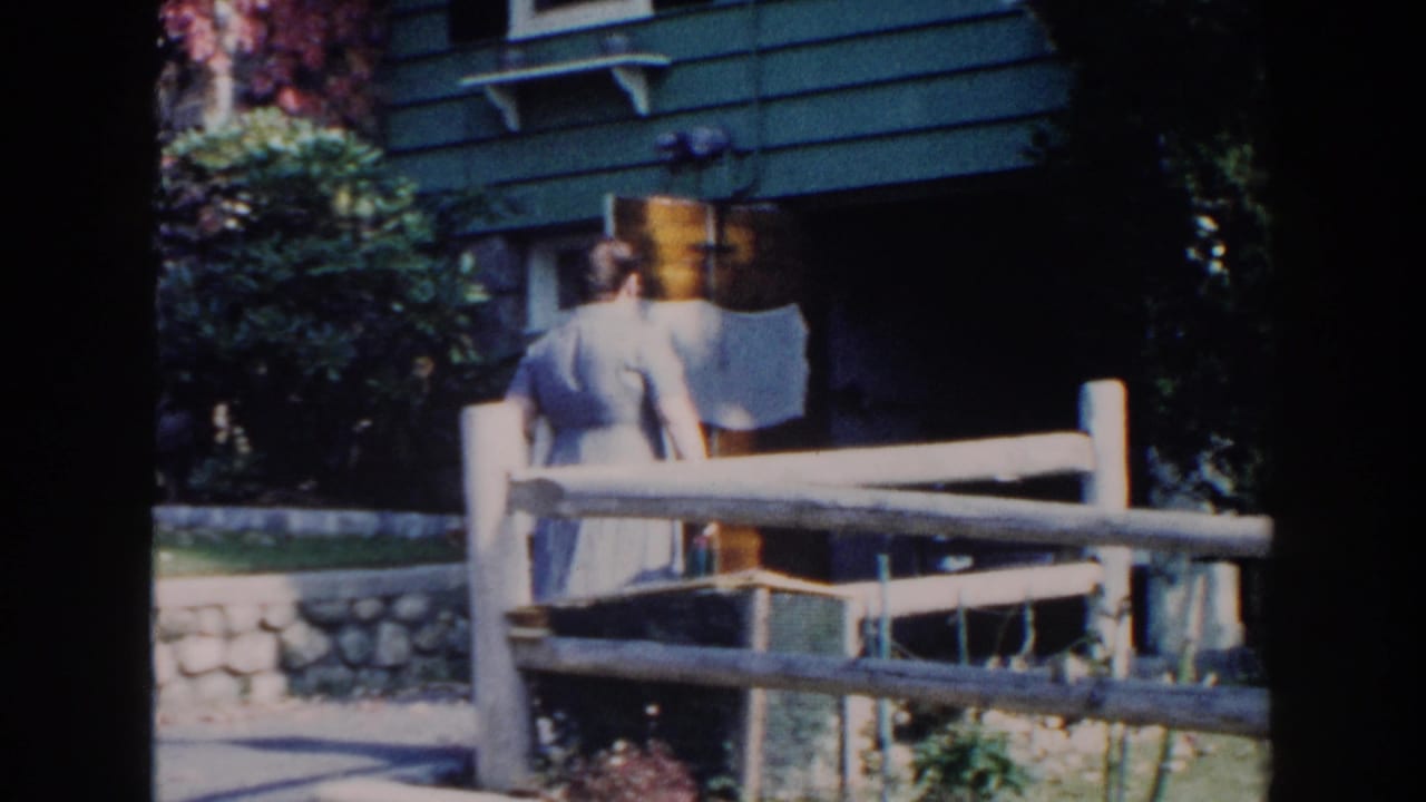 Woman in a light dress stands behind a wooden fence near a green-sided house.