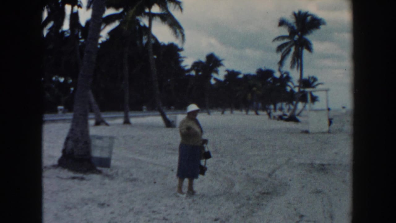 Woman in a white hat and blue skirt stands on a sandy beach lined with palm trees.