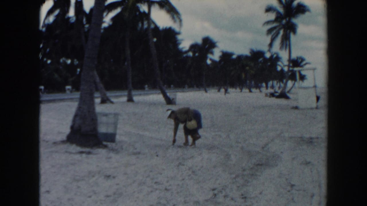1960 Miami beach frame showing a woman near the sand, palm trees, a small beach hut and muted overcast sky.