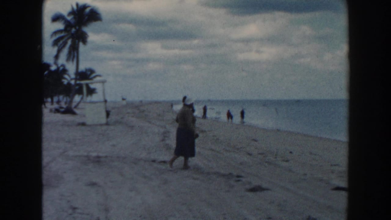 Woman with a bag walks along the beach near the water with people in the distance.