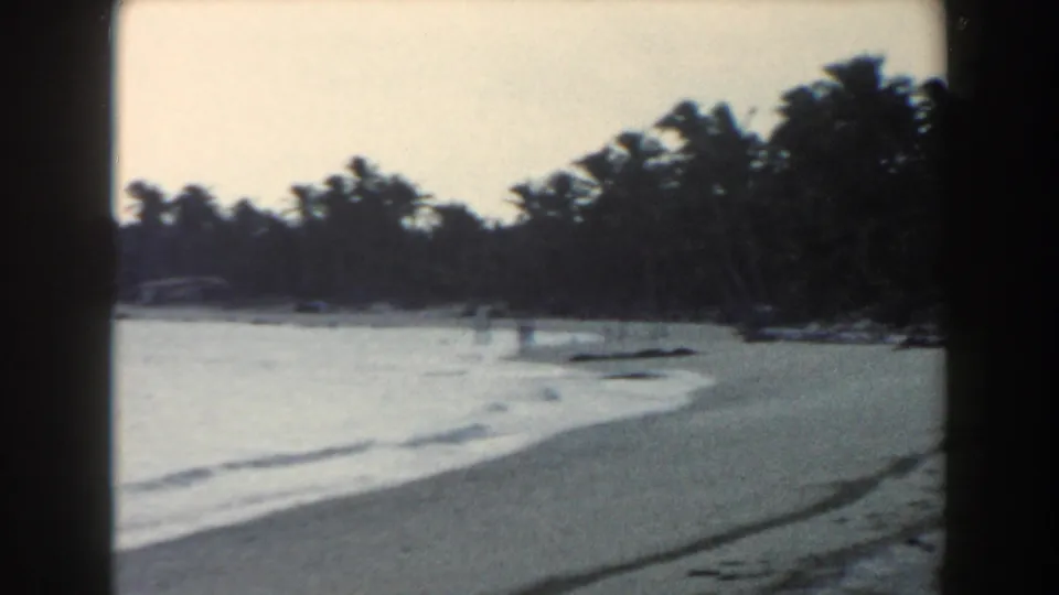 1960 Miami shoreline with gentle surf, pale sand, and a dense line of palms around a private-looking cove.